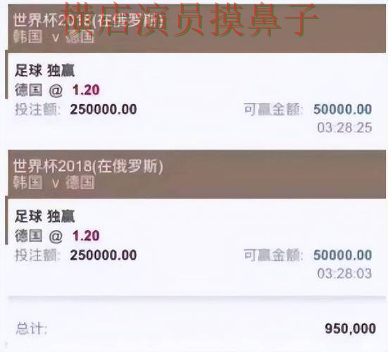 新手必看:世界杯投注平台访问方式详解 + 世界杯官方信息 新手必看:世界杯投注平台访问方式详解 + 世界杯官方信息